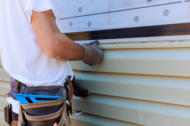 Best Insulated Siding Installation  in Yorkvle, IL